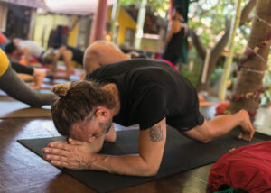 Unfolding Wellness: Exploring the New Wave of Yoga Courses